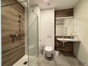 Prodej bytu 1+kk, Dolní Morava, 36 m2