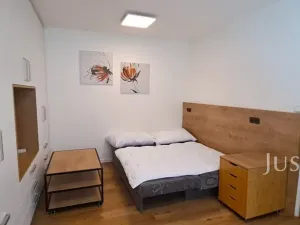 Pronájem bytu 1+1, Písek, 17. listopadu, 41 m2