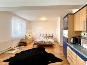 Pronájem bytu 1+kk, Zlín, Voženílkova, 26 m2