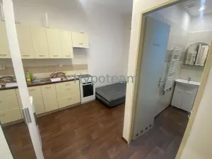 Pronájem bytu 1+kk, Ústí nad Labem - Klíše, Bozděchova, 18 m2