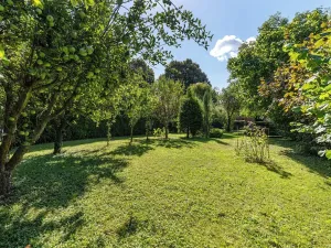 Prodej rodinného domu, Velký Osek, Revoluční, 50 m2