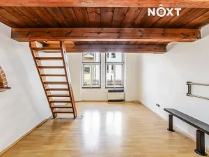 Prodej bytu 1+1, České Budějovice, Puklicova, 43 m2
