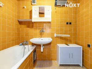 Prodej bytu 1+1, České Budějovice, Puklicova, 43 m2