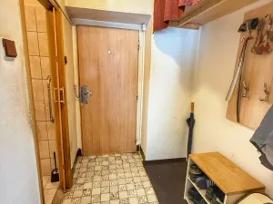 Prodej bytu 1+1, Plzeň, Partyzánská, 29 m2