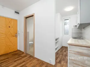 Pronájem bytu 1+1, Děčín, Růžová, 35 m2