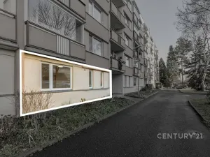 Pronájem bytu 1+1, Děčín, Růžová, 35 m2