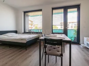 Pronájem bytu 1+kk, Praha - Žižkov, Olgy Havlové, 33 m2