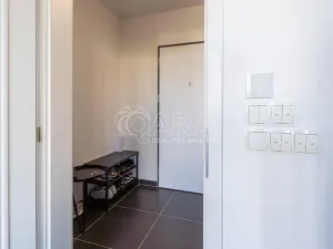 Pronájem bytu 1+kk, Praha - Žižkov, Olgy Havlové, 33 m2