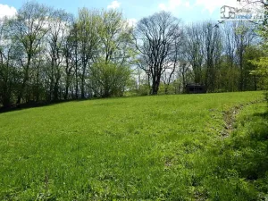 Prodej pozemku pro bydlení, Branná, 3500 m2