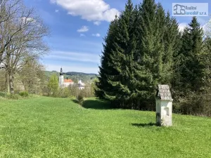 Prodej pozemku pro bydlení, Branná, 3500 m2