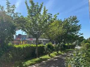 Prodej bytu 3+1, Praha - Záběhlice, Topolová, 72 m2