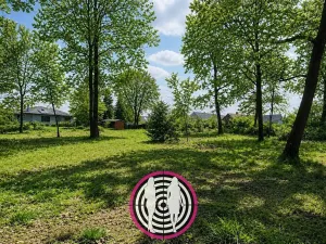 Prodej pozemku pro bydlení, Loučeň, Sportovní, 847 m2