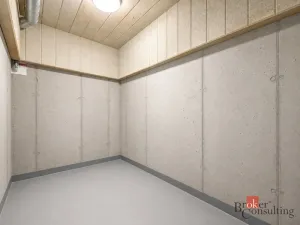 Prodej bytu 2+kk, Plzeň - Jižní Předměstí, Železná, 58 m2