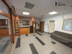 Prodej bytu 3+1, Ostružná - Ramzová, 113 m2