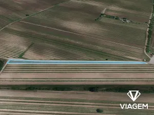Prodej podílu pole, Velké Bílovice, 472 m2
