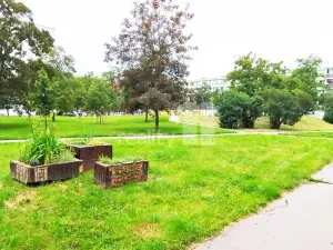 Pronájem bytu 2+kk, Praha - Karlín, Nekvasilova, 47 m2