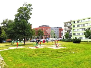 Pronájem bytu 2+kk, Praha - Karlín, Nekvasilova, 47 m2