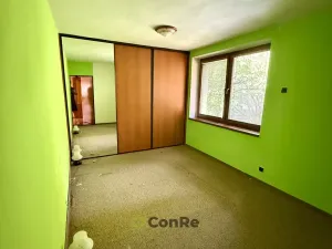 Prodej rodinného domu, Provodín, 297 m2