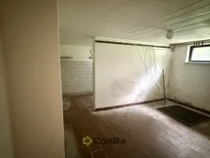 Prodej rodinného domu, Provodín, 297 m2