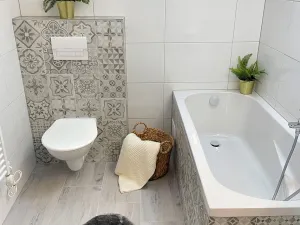 Pronájem bytu 2+kk, Borovany - Trocnov, 51 m2