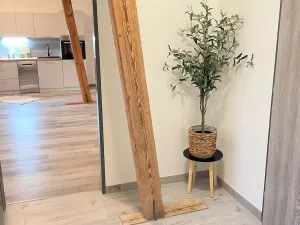 Pronájem bytu 2+kk, Borovany - Trocnov, 51 m2