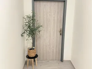Pronájem bytu 2+kk, Borovany - Trocnov, 51 m2