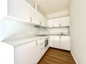 Pronájem bytu 2+kk, Praha - Žižkov, Zelenky-Hajského, 44 m2