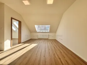 Pronájem bytu 2+kk, Praha - Žižkov, Zelenky-Hajského, 44 m2
