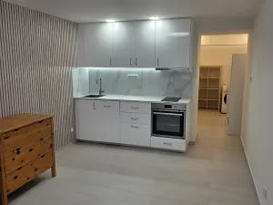 Pronájem bytu 1+kk, Praha, Nad olšinami, 27 m2