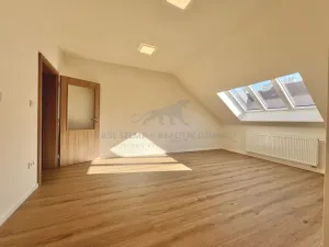 Pronájem bytu 2+kk, Praha - Žižkov, Zelenky-Hajského, 44 m2