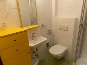 Pronájem bytu 2+kk, Praha - Břevnov, Bělohorská, 46 m2