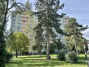 Prodej bytu 1+kk, Hradec Králové, Třebechovická, 35 m2
