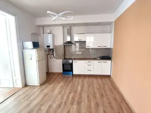 Pronájem bytu 1+1, Olomouc, Kačení, 55 m2