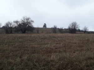 Prodej pole, Teplice nad Metují - Dolní Teplice, 25028 m2