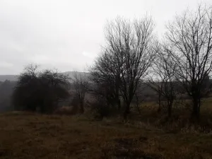 Prodej pole, Teplice nad Metují - Dolní Teplice, 25028 m2