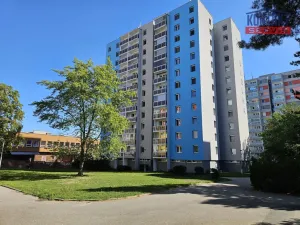 Prodej bytu 2+kk, České Budějovice, Dlouhá, 39 m2