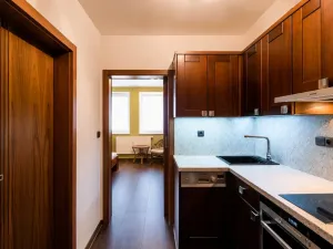Pronájem bytu 1+kk, Plzeň, Kardinála Berana, 32 m2