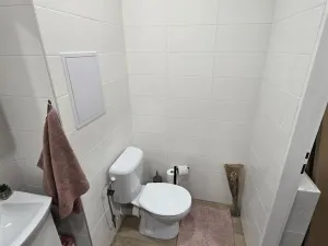 Pronájem bytu 1+kk, Příbram, Nádražní, 28 m2