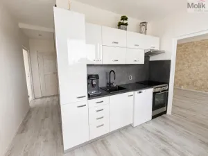 Pronájem bytu 3+1, Teplice - Trnovany, Gagarinova, 70 m2