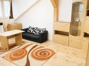 Pronájem bytu 2+kk, Plzeň - Jižní Předměstí, Nerudova, 40 m2