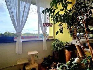 Prodej bytu 3+kk, Zruč nad Sázavou, náměstí Míru, 80 m2