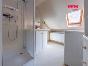 Prodej obchodního prostoru, Týnec nad Labem, Havlíčkova, 207 m2