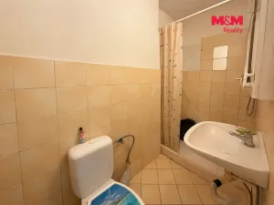 Pronájem bytu 1+1, Česká Lípa - Dubice, Litoměřická, 31 m2