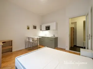 Pronájem bytu 1+kk, Praha - Holešovice, Šimáčkova, 27 m2