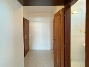 Pronájem bytu 1+kk, Praha - Vinohrady, Římská, 25 m2