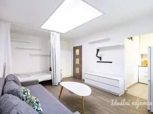 Pronájem bytu 1+1, Praha - Chodov, Benkova, 31 m2