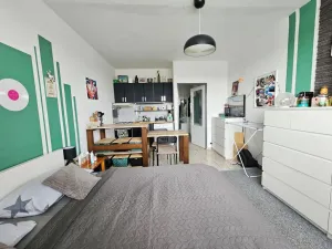 Pronájem bytu 1+kk, Praha - Braník, Vavřenova, 24 m2
