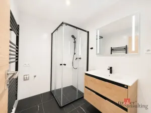 Pronájem bytu 2+kk, Plzeň - Jižní Předměstí, Železná, 79 m2