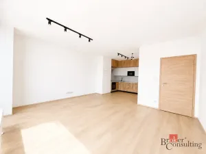 Pronájem bytu 2+kk, Plzeň - Jižní Předměstí, Železná, 79 m2