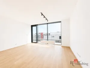 Pronájem bytu 2+kk, Plzeň - Jižní Předměstí, Železná, 79 m2